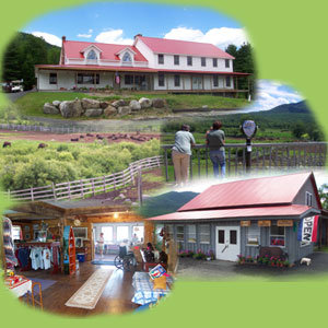 group shop store, farm collage